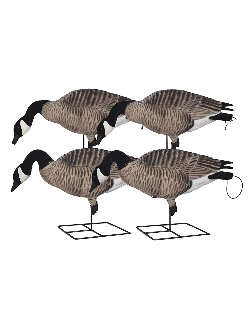 GHG XD FFD Full Body Canada Goose Decoys - Feeder Pack