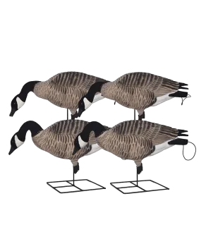 GHG XD FFD Full Body Canada Goose Decoys - Feeder Pack