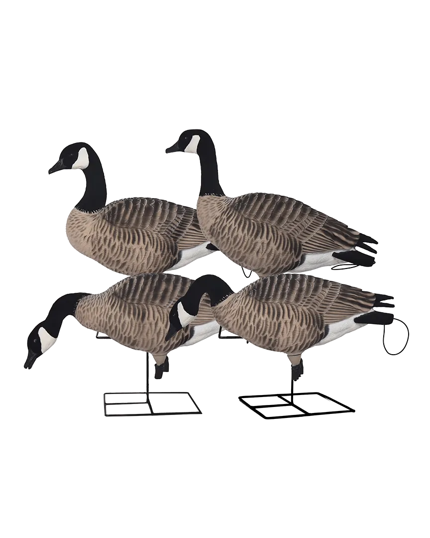 GHG XD FFD Full Body Canada Goose Decoys - Harvester Pack