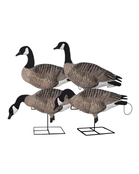 GHG XD FFD Full Body Canada Goose Decoys - Harvester Pack