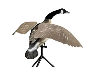 Lucky Duck, 21-10014-1, Lucky Flapper Canada Goose