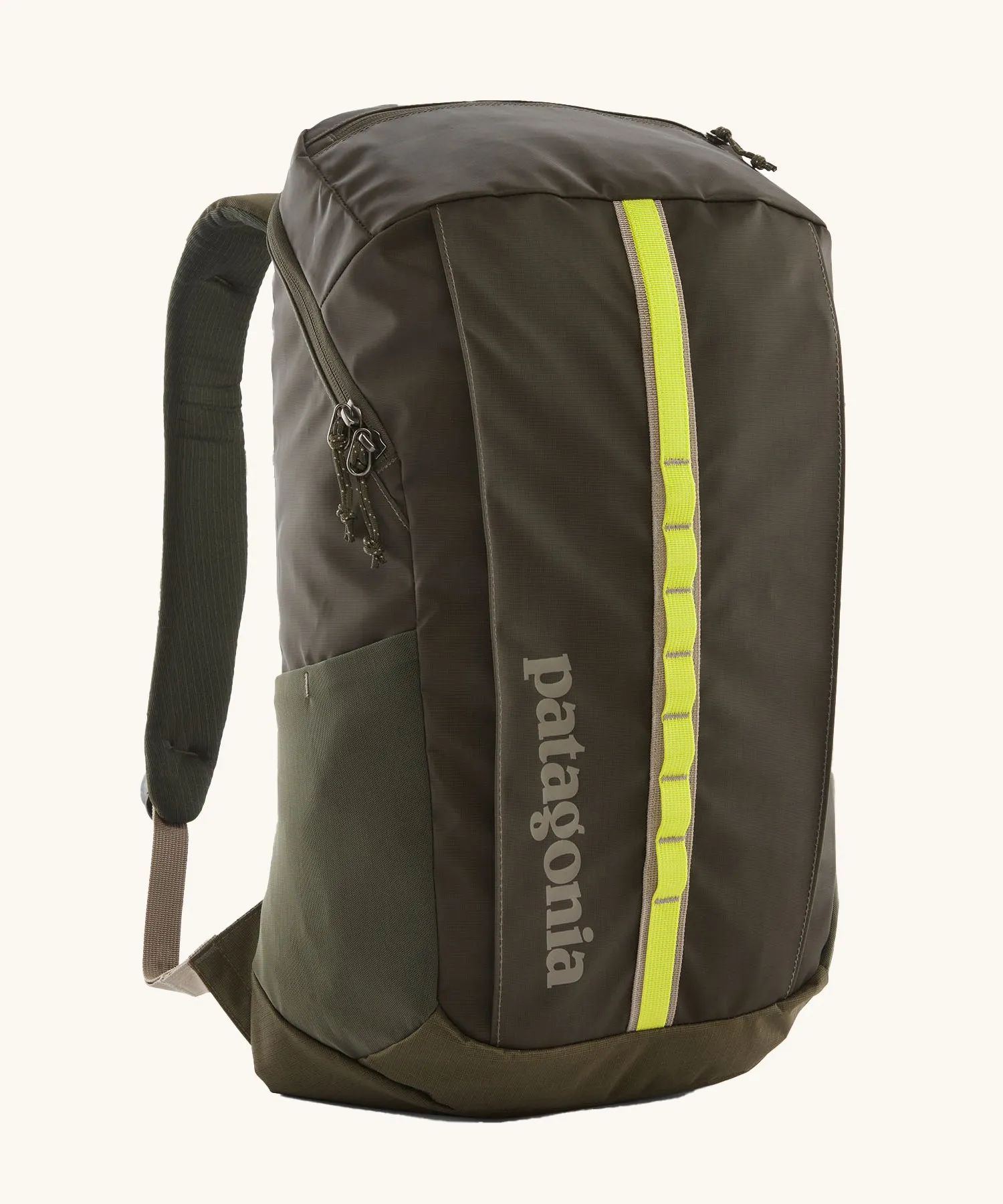 Patagonia Black Hole Pack 25L - Pine Needle Green