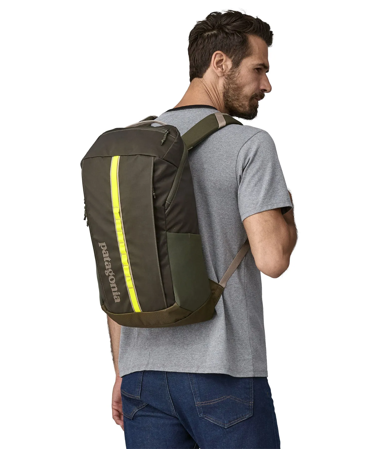 Patagonia Black Hole Pack 25L - Pine Needle Green