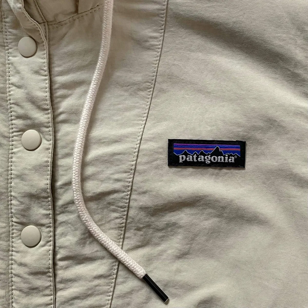 Patagonia Fall '20 Cream Shelled Retro X Fleece Pullover