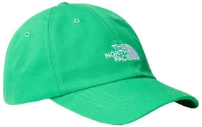 The North Face Accessories Norm Hat Optic Emerald