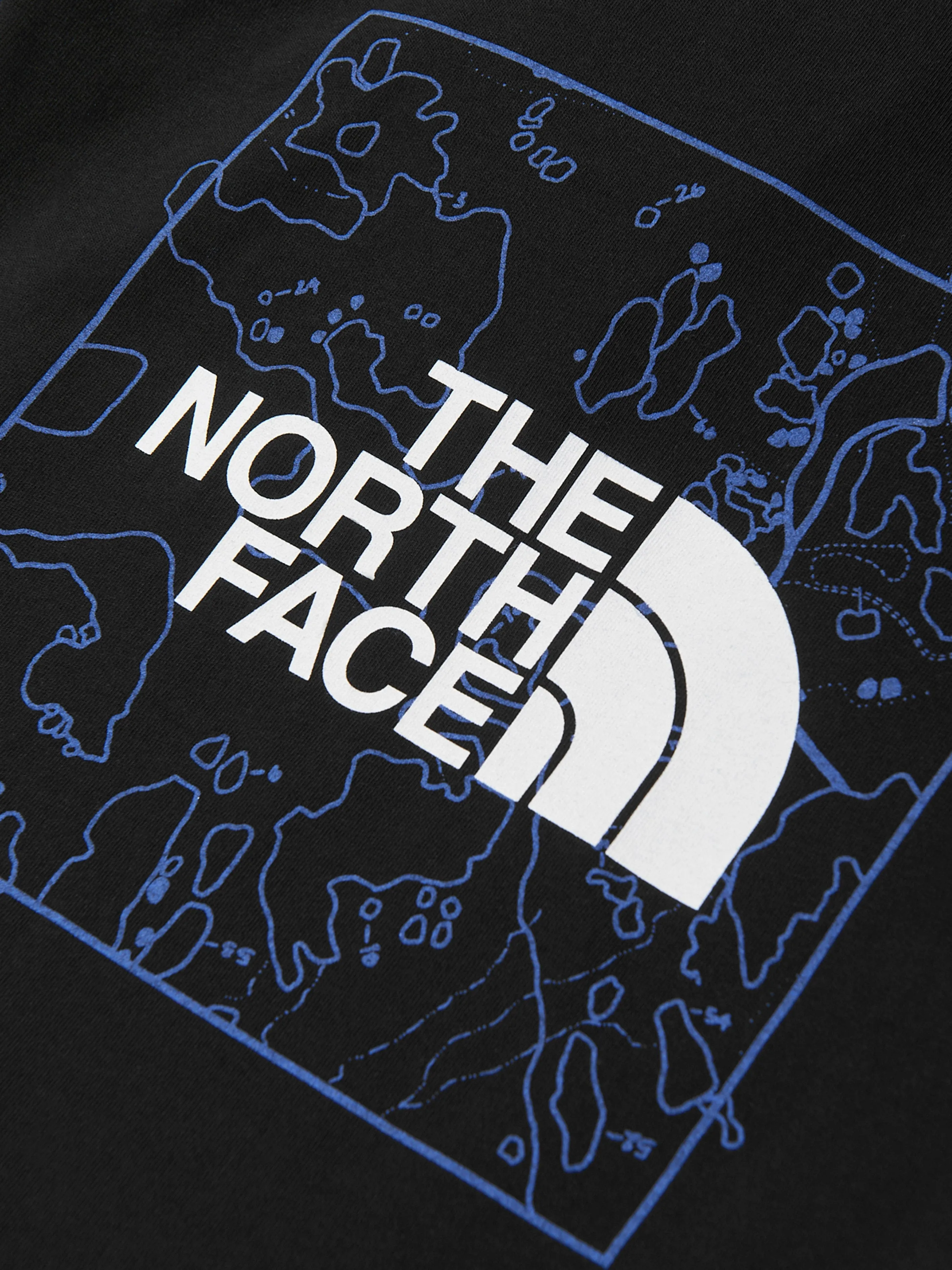 The North Face Kids Youth New Graphic T-Shirt in Black